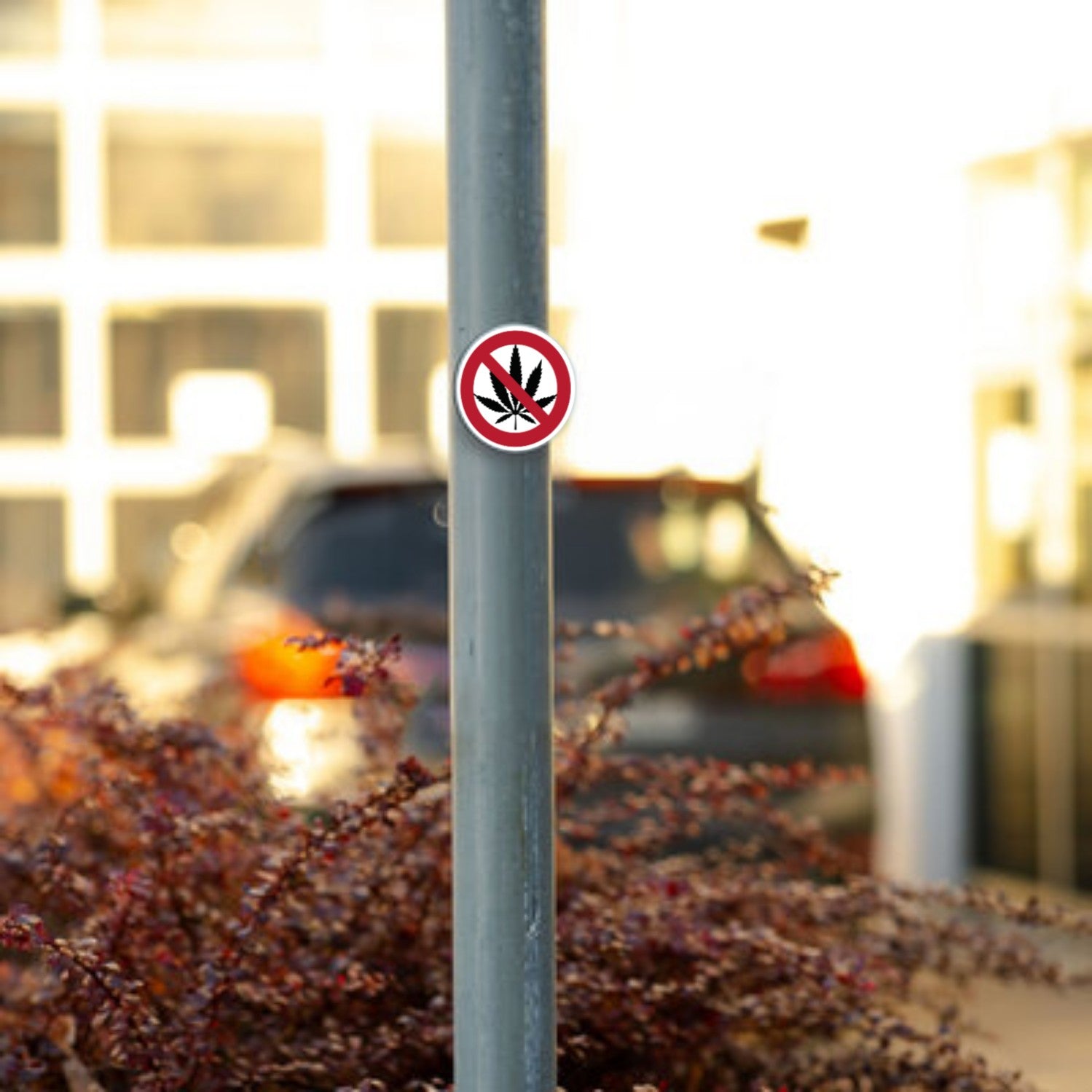 Cannabis Schild Alu-Verbund 10 cm / Verboten - adressaufkleber-fabrik.de